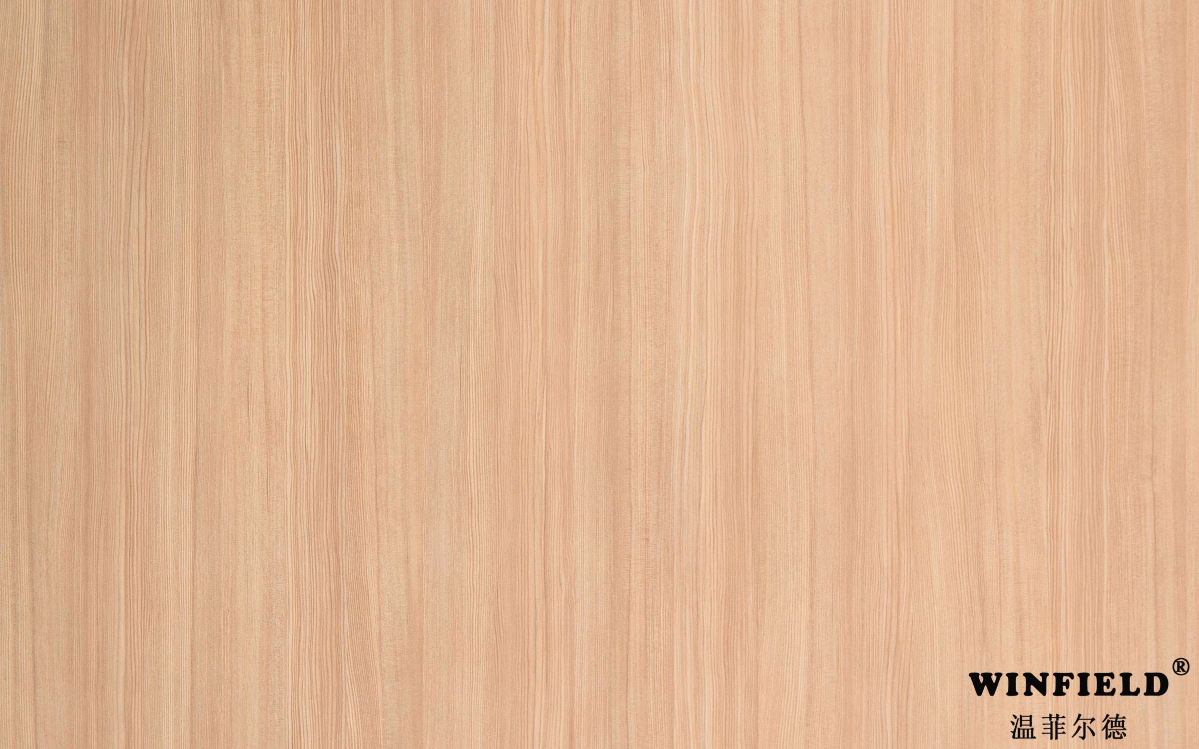 54161 浅烤烟松木 Bright Pine - 温菲尔德-空间饰材-High Pressure Laminate - WINFIELD